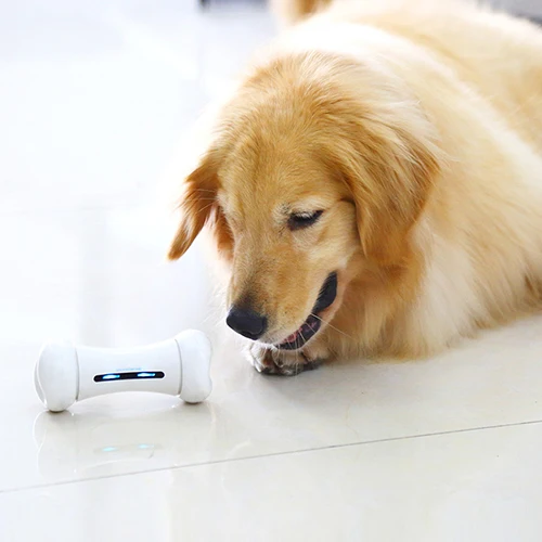 Wickedbone Smart Pet игрушка с костями для волнительного общения умные игрушки собак и