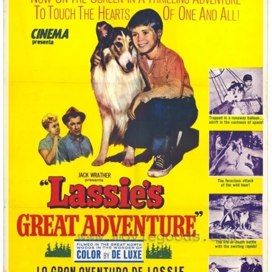 Большой постер в стиле Приключения Lassie (27x40) |