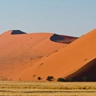 Desert Sossusvlei Namib Nauklift NP Намибия плакат печать Ральфа Х. бенджебара (17x11)|Таблички и