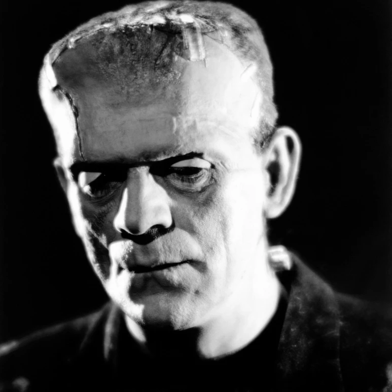 Фотография невесты Франкенштейна (16x20)|Таблички и знаки| |