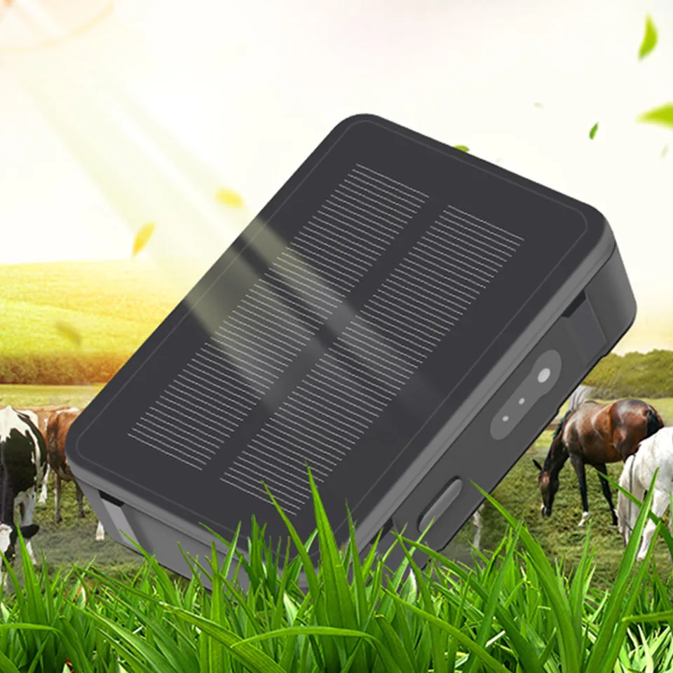 

Animal Cow GPS Tracker with Solar Power V34 9000mAh Long Standby Sheep Camel Horse GPS Tracker Waterproof Real time Tracking