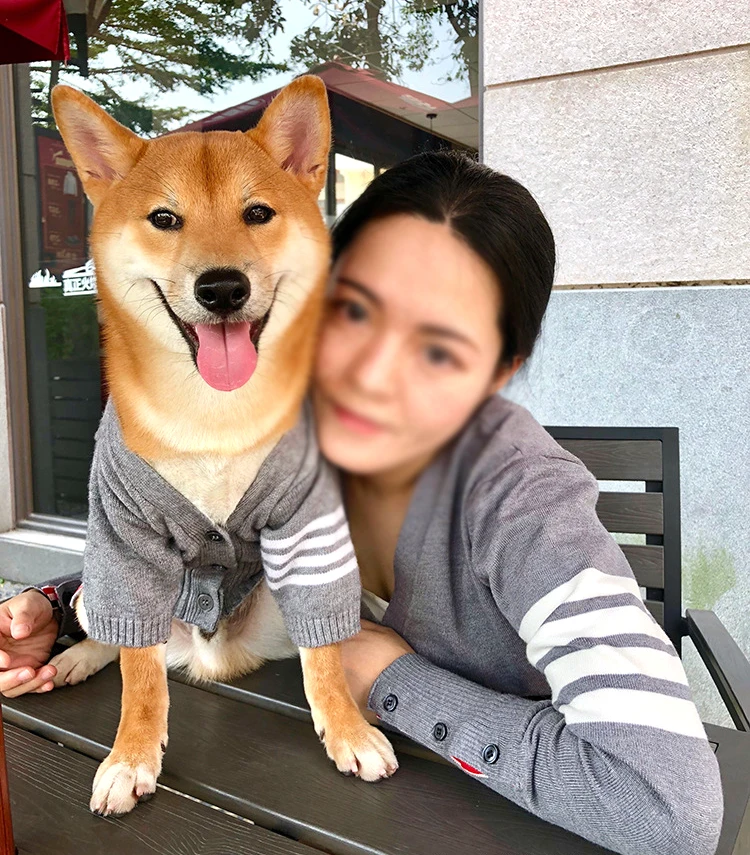 Качественные Свитера для собак маленьких свитер кошек модный одежда