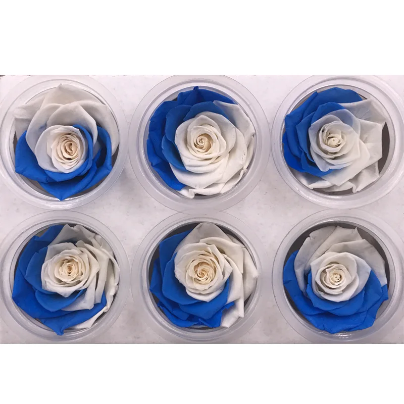 1 коробка Высокое качество Красочные розы цветок бессмертный Rose5 6CM диаметр