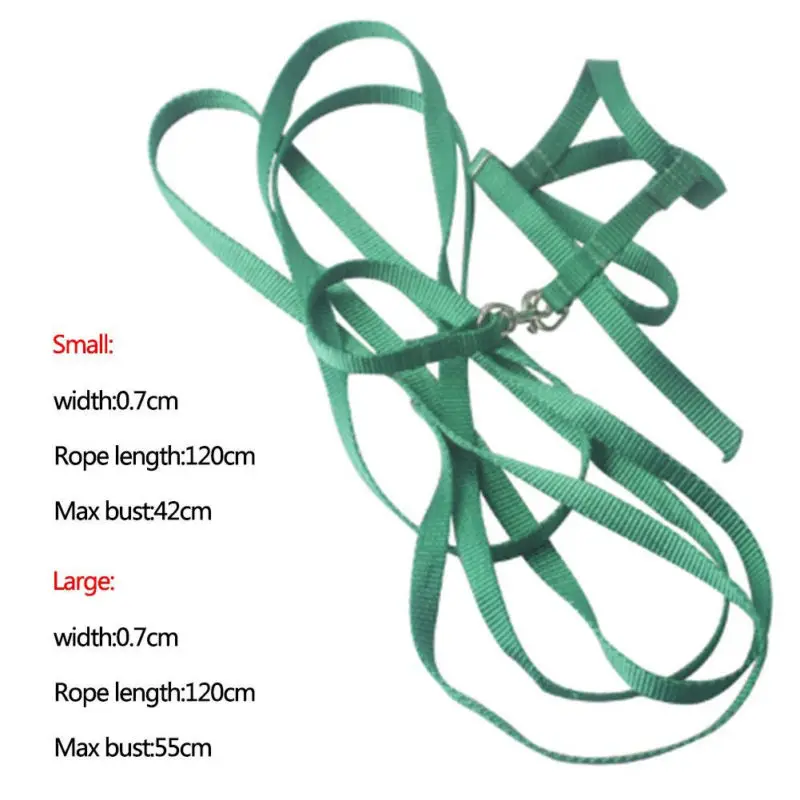 Попугай Тяговый ремень Открытый ПЭТ птица шлейка и поводок Летающий