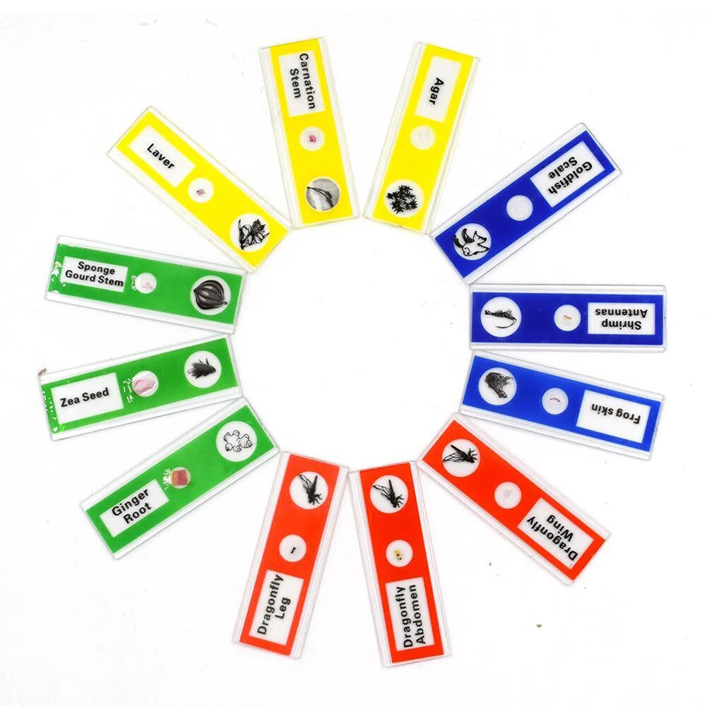 Microscope Kit Lab Led 100X-400X-1200X Home School Science Educational Toy Gift Refined Biological For Kids Child | Инструменты