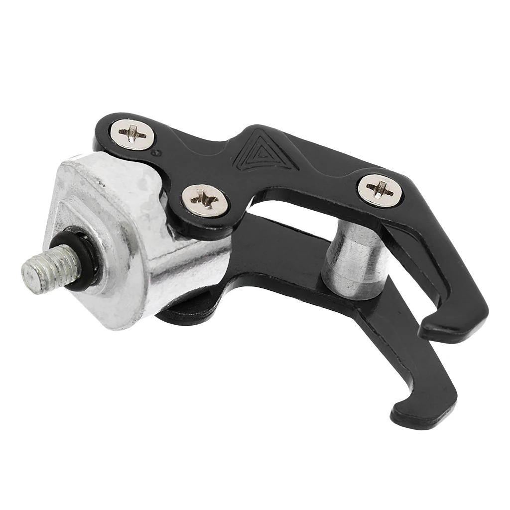 

Ornamental & Cleaning & Protection