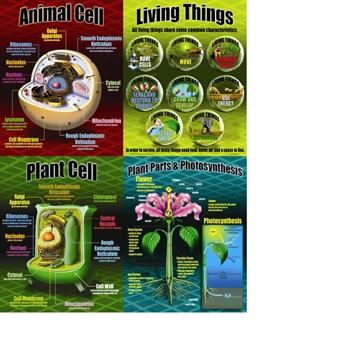 Mcdonald Publishing MC-P077 Life Science Teaching Poster Set |