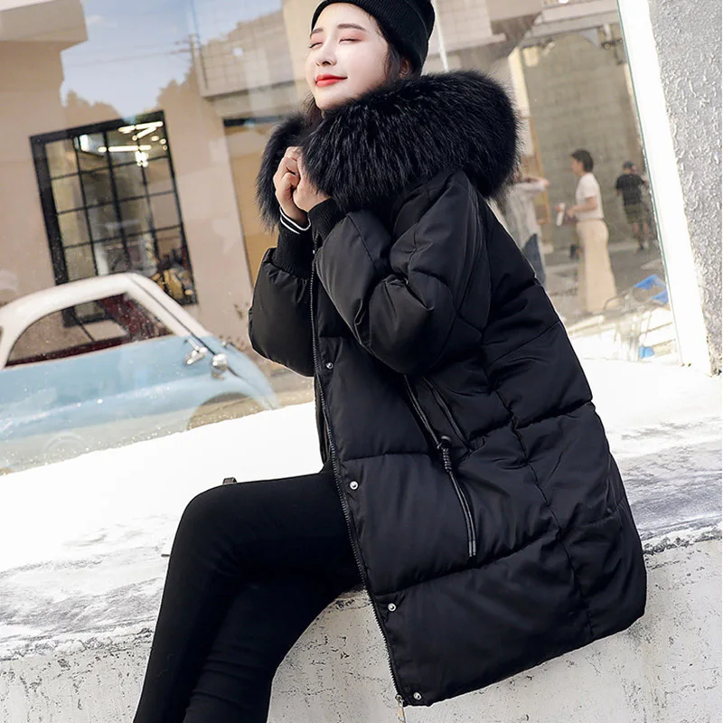 Одежда из хлопка женская зимняя куртка 2019 верхняя одежда с меховым воротником