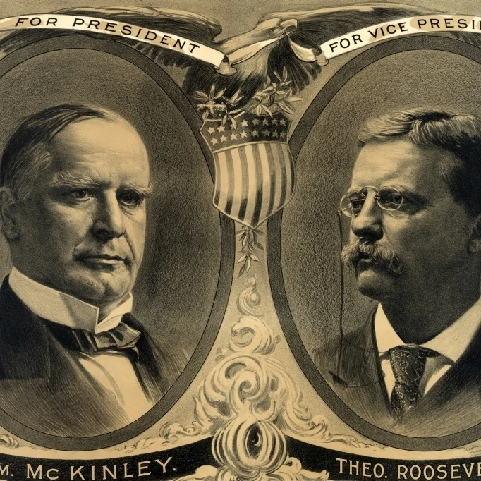 McKinley Roosevelt плакат с рекламой 1900 печать по науке источник (36x24)|Таблички и знаки| |