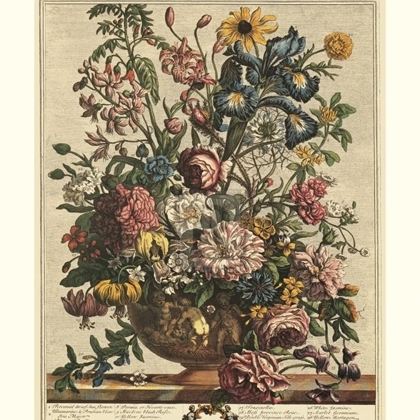 June Poster Print by Robert Furber (15 x 20) | Дом и сад