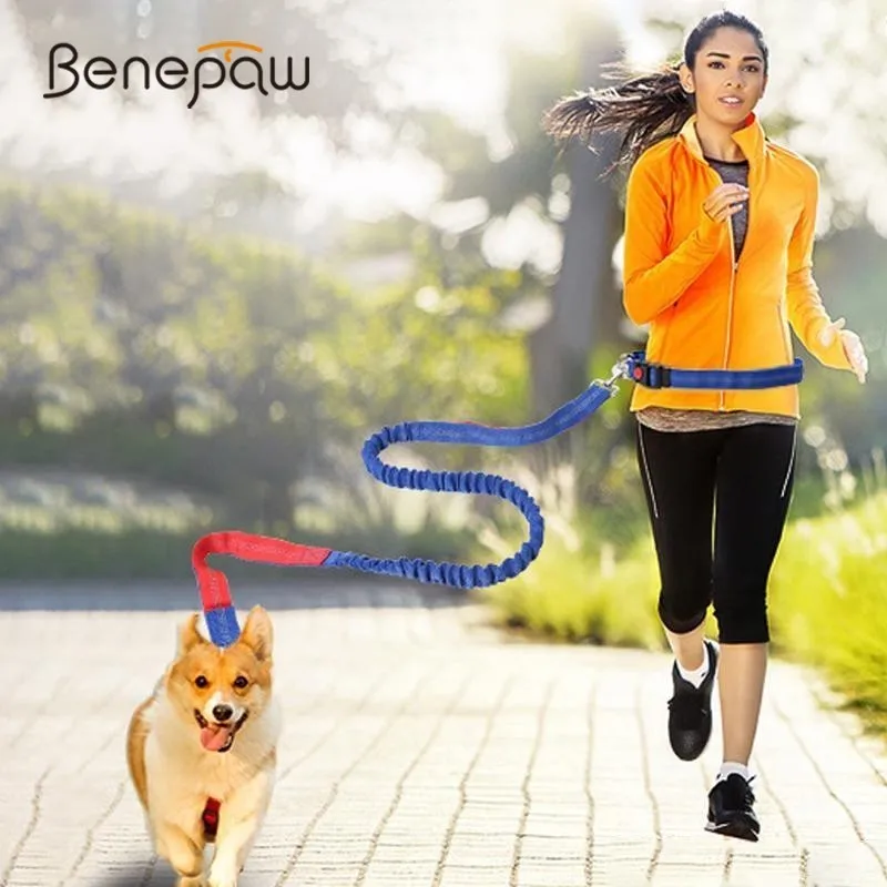 Гибкий поводок для собак Benepaw 8 цветов Регулируемая Талия яркий светоотражающий