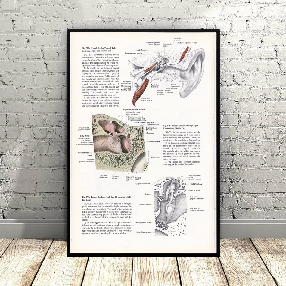 Рисунок ушей иллюстрация в стиле стимпанк художественный холст плакат настенные