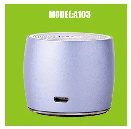 EWA A103 Bluetooth динамик металлический Ручной Спорт на открытом воздухе портативный