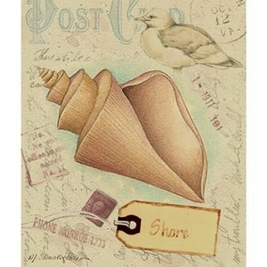 Postcard Shells III Poster Print by Nancy Shumaker (10 x 13) | Дом и сад