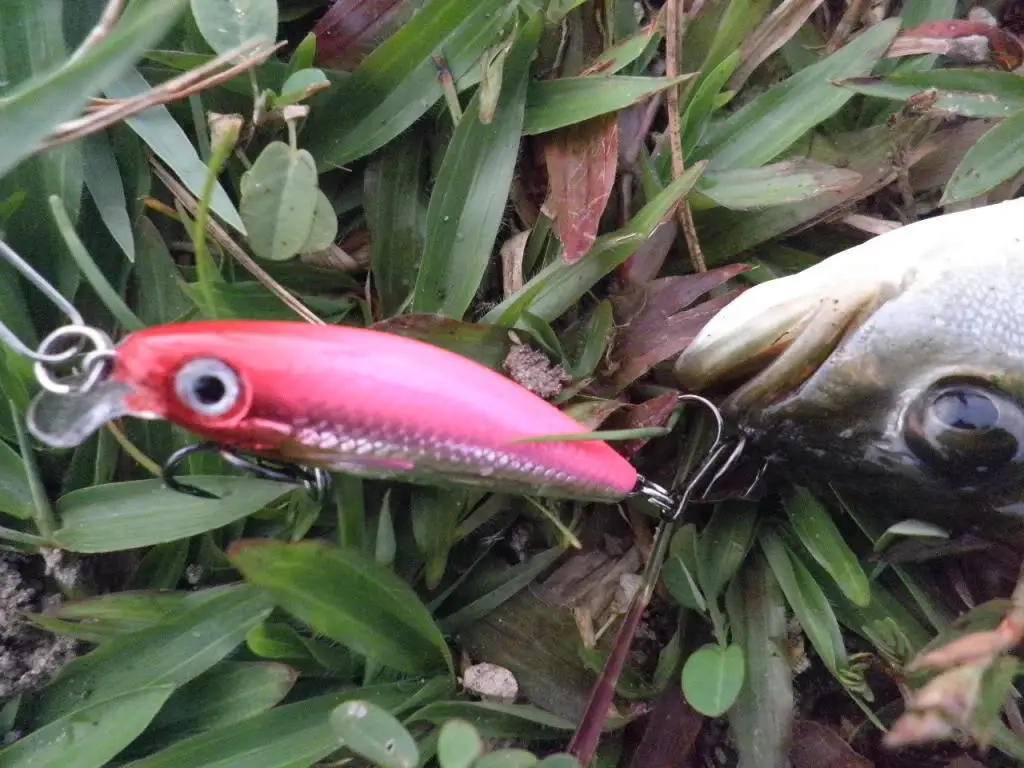Оригинальная ульсветильник рыболовная приманка Rapala Ulm06 в форме гольяна 6 см/4 г
