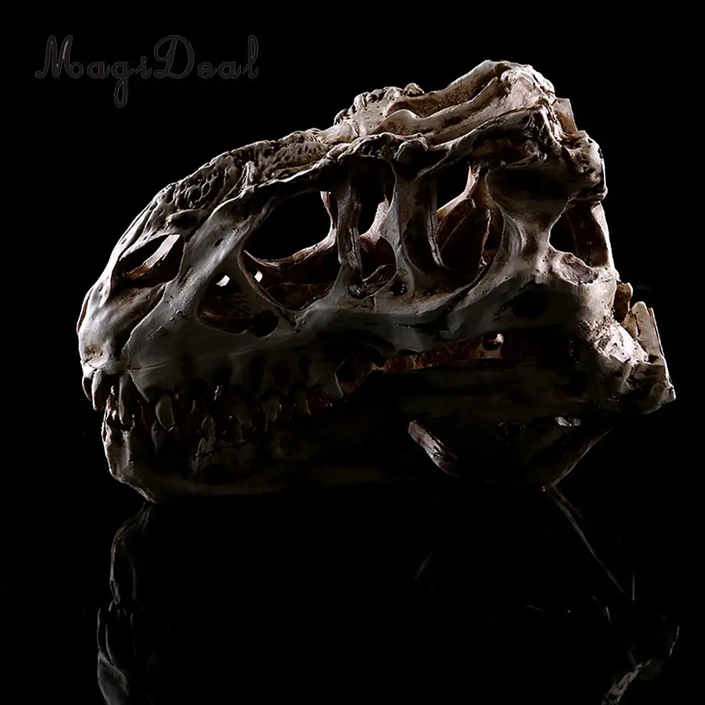 MagiDeal Смола T rex Череп Реплика Скелет фигурка коллекция для медицинского обучения