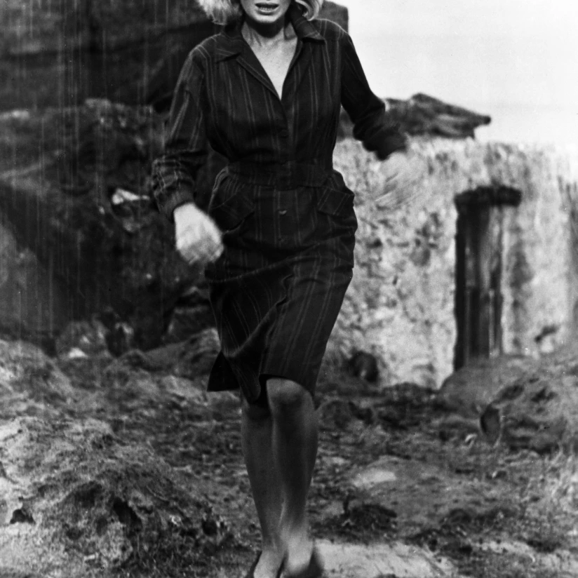 Фотопечать L'Avventura Monica Vitti 1960 (8x10)|Таблички и знаки| |