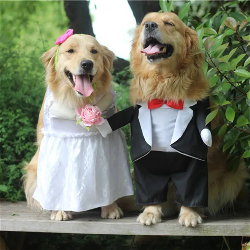 Dog Costume For Wedding Party Big dog clothes for small Medium dogs Dog Costume suit dress Princess Prince Golden retriever