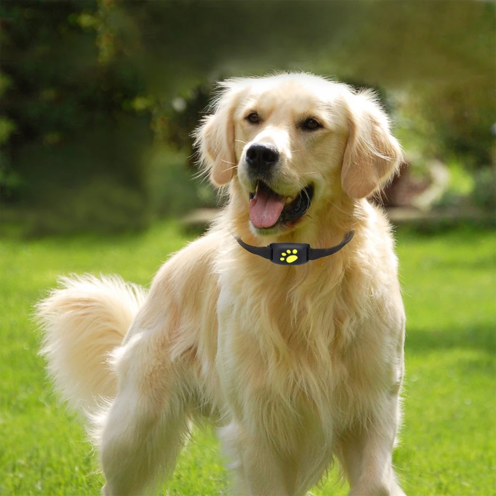 Z8 - A Pet Tracker GPS Dog / Cat Collar Water-resistant USB Charging | Дом и сад