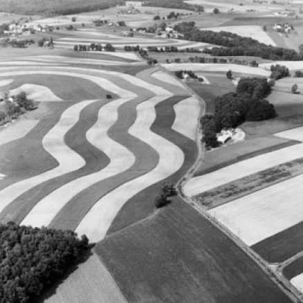 High angle view of crops in fields Lititz Pennsylvania USA Poster Print (18 x 24) | Дом и сад
