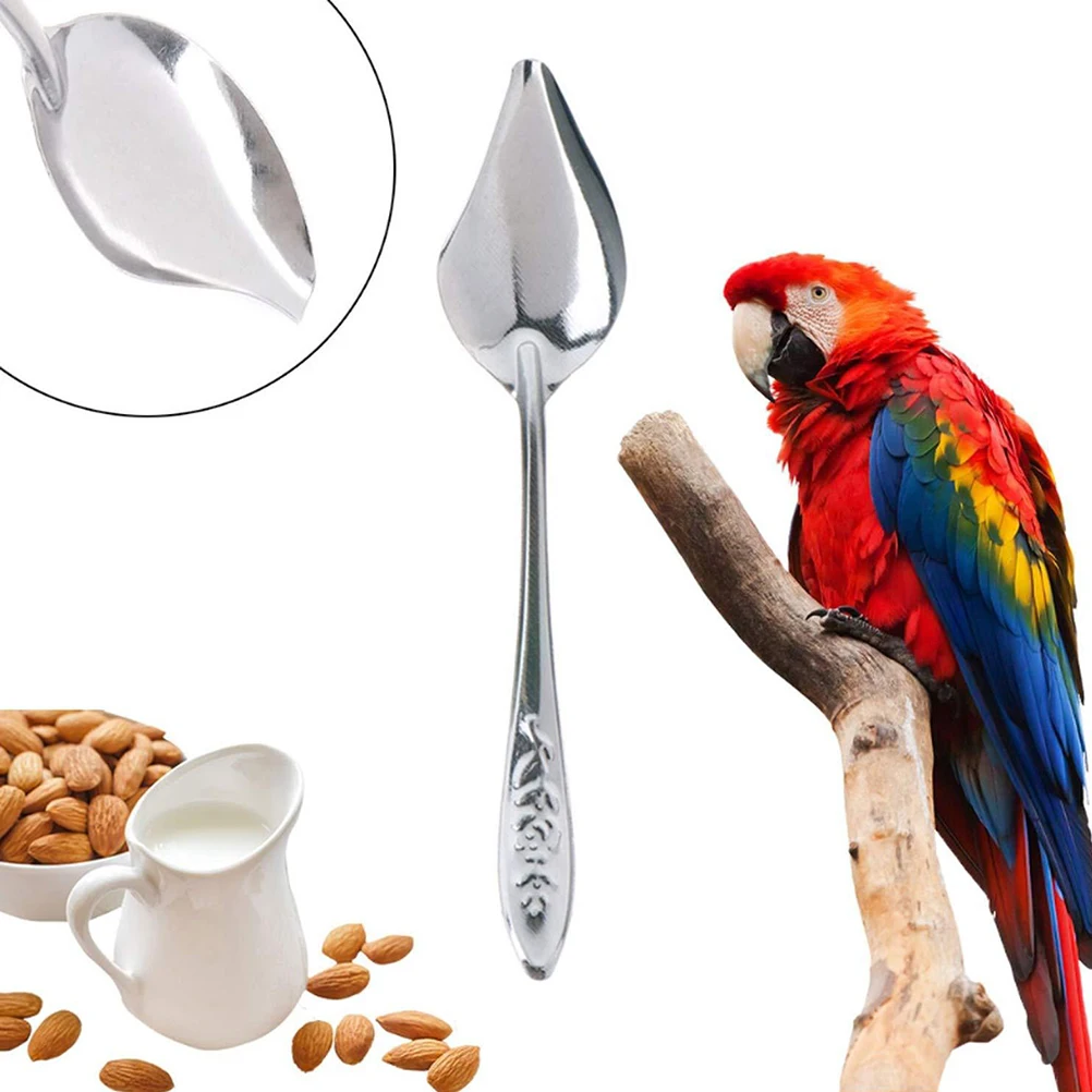 1 шт. ложка-попугай из нержавеющей стали | Дом и сад
