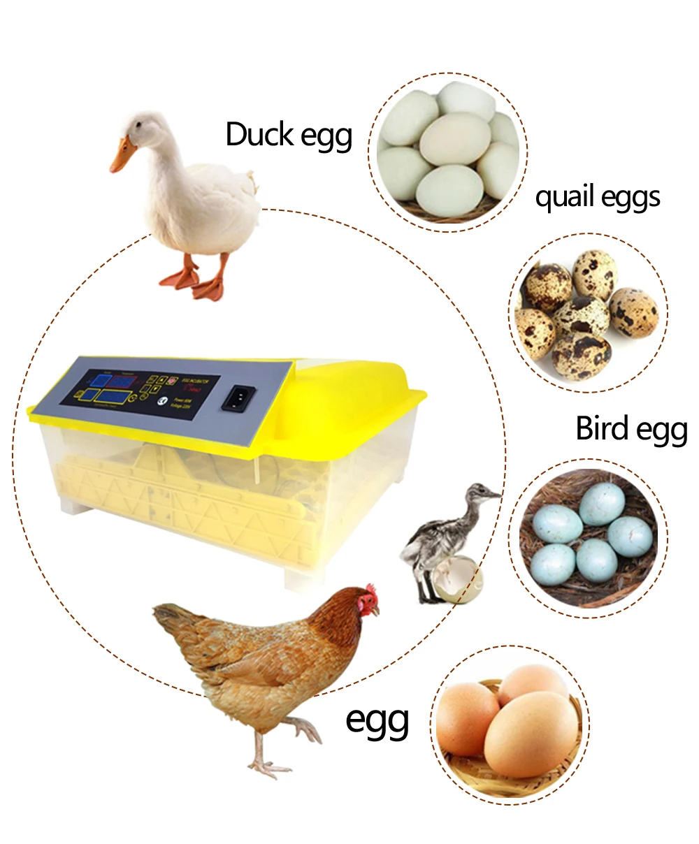 Мини домашний фермерский инкубатор птичьих яиц 48 Led дисплей птицеводство Хэтчер