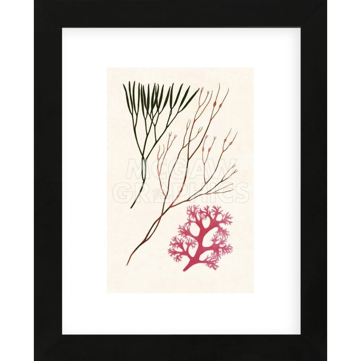 Algae 24 (Framed) | Дом и сад