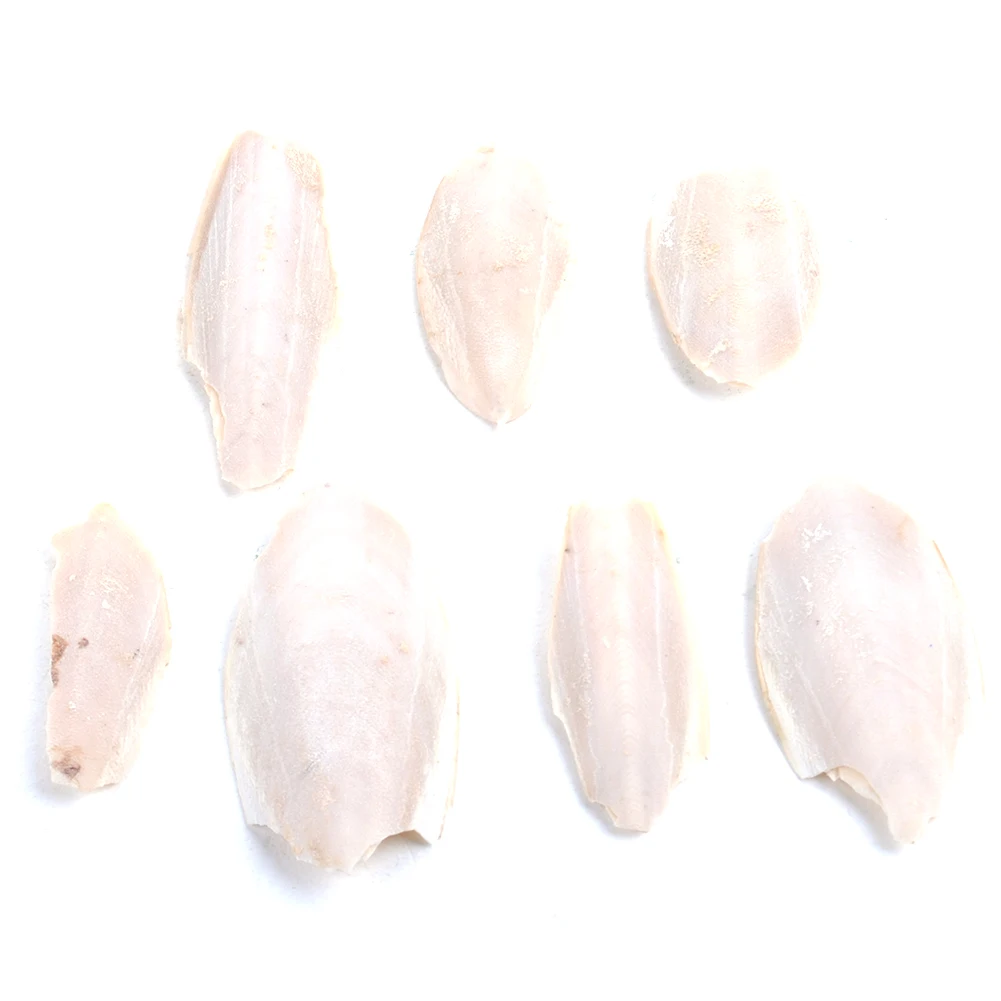 Pets Feeding Chewing Supplies Cuttle Fish Cuttlefish Bone For Budgie Birds Reptiles Tortoise Food | Дом и сад