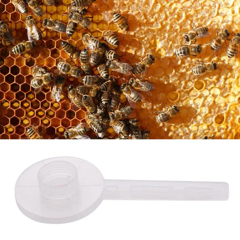 1 шт. пчелы питательной воды Кепки Beefun Пчеловодство Мёд вход подачи для