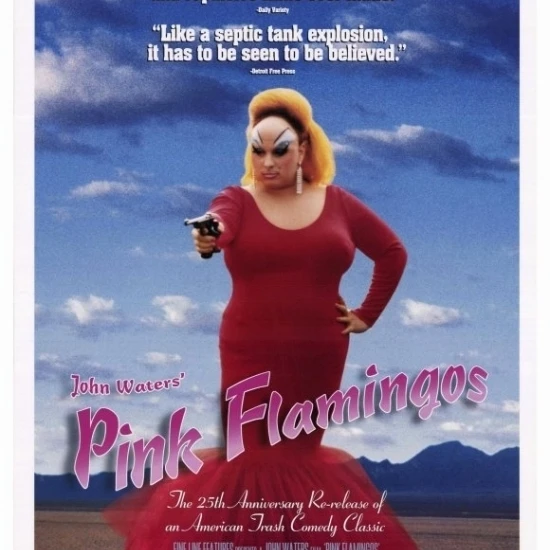 Розовый плакат с фламинго (27x40) | Дом и сад