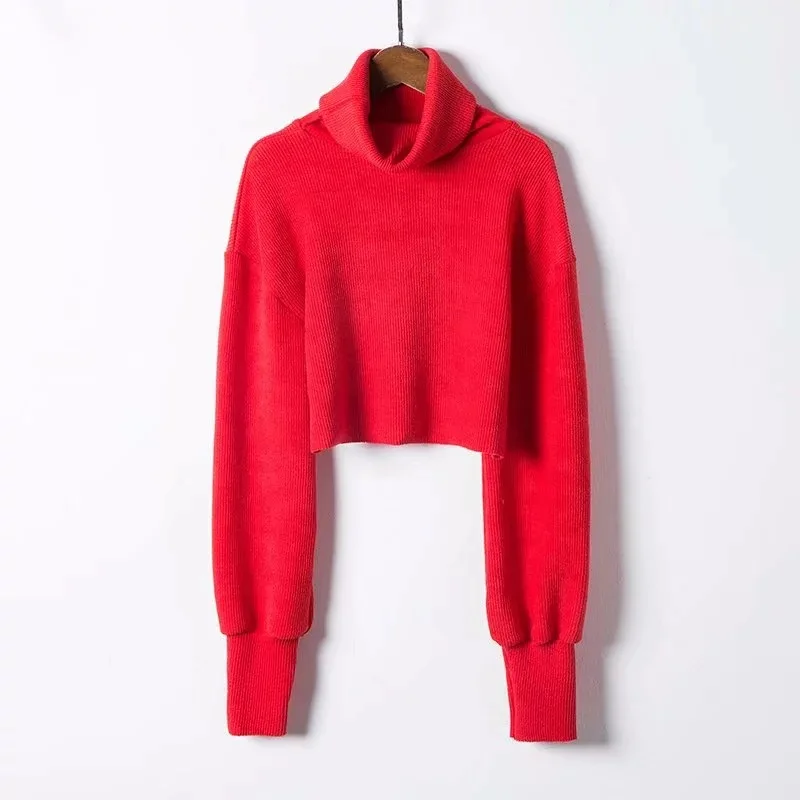 High Quality Autumn Winter Turtleneck Crop Tops Short Casual Basic Solid Sweater Women Long Sleeve Knitted Pullovers | Женская одежда