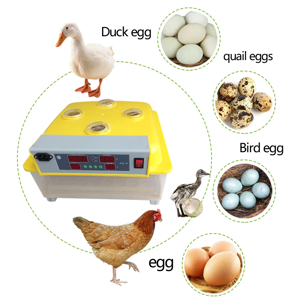 Высокое качество цифровой 48 яиц инкубатор для домашней птицы Курица Утка птичьих