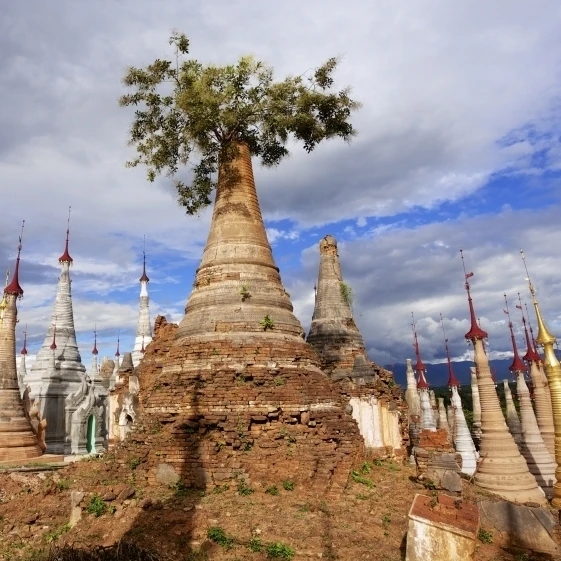 Разрушенный пагодас в Shwe Inn Thein Paya выше Inthein на Inle Lake печать плакатов Myanmar