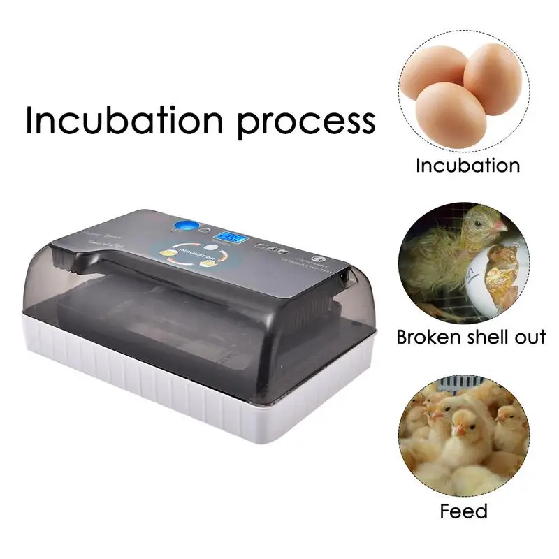 Incubator Egg Digital Fully Automatic Hatcher for Chicken Poultry Quail Duck Bird Turkey Home Use Turning Hot | Дом и сад