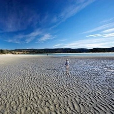 Пляж Doctors Point South Island Новая Зеландия (горизонтальный) плакат печать Дэвида Уолла