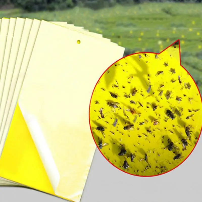10 шт., клейкие бумажные насекомые от Armyworm, двухсторонние Желтые Липкие Ловушки для насекомых, нетоксичные липкие ловушки