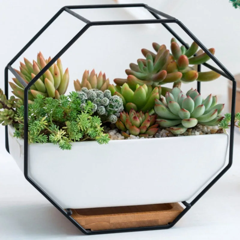 Геометрическая керамика настенный держатель для растений цветочного горшка