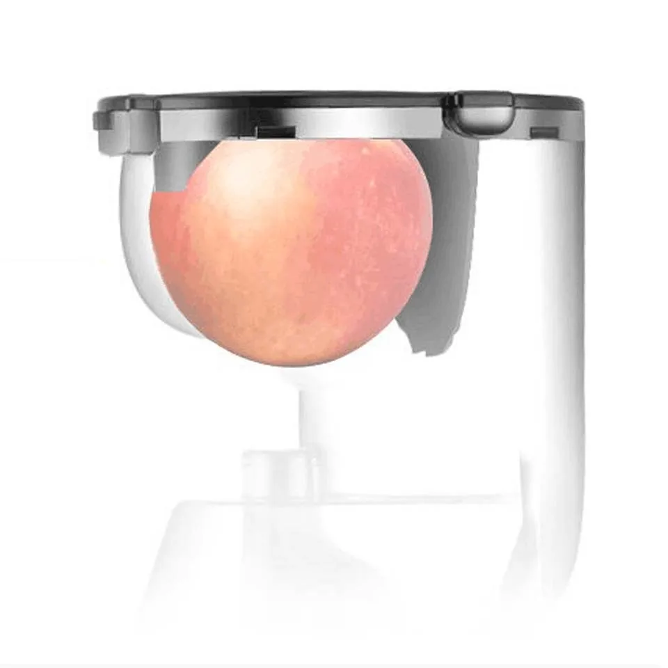 

low speed Large diameter Feeding Chute can put Whole Apple orange Slow Juicer Fruit Vegetable Juice Extractor Squeezer machine