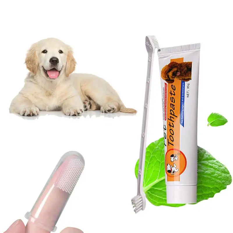Pet Oral Care Kit Dog Cat Toothbrush Toothpaste Set Improve Hygiene Mouth Cleaning Reduce Dental Plaque |