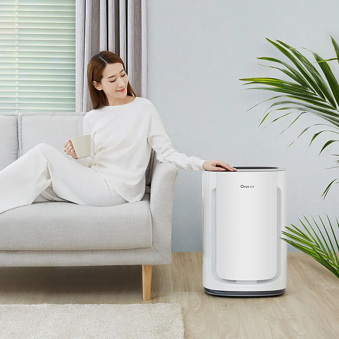Deye бытовая очистка воздуха Dehumidifier полупроводниковый осушитель высокая