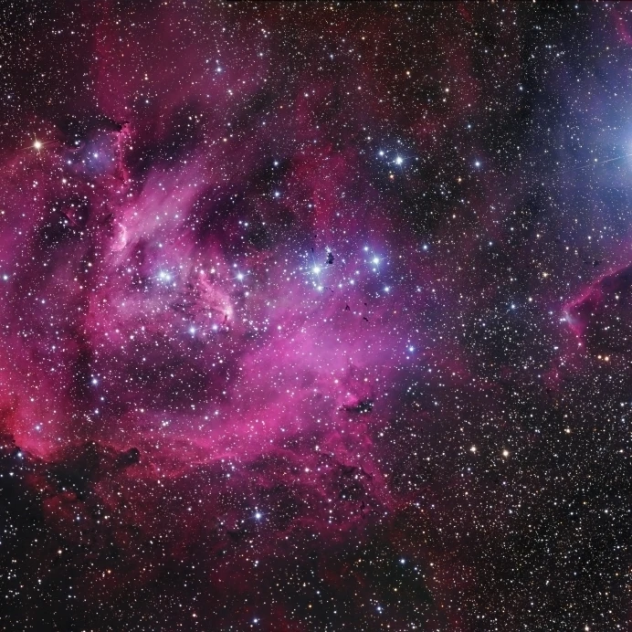 IC 2944 бег курица постер туман печати (33x22)|Таблички и знаки| |