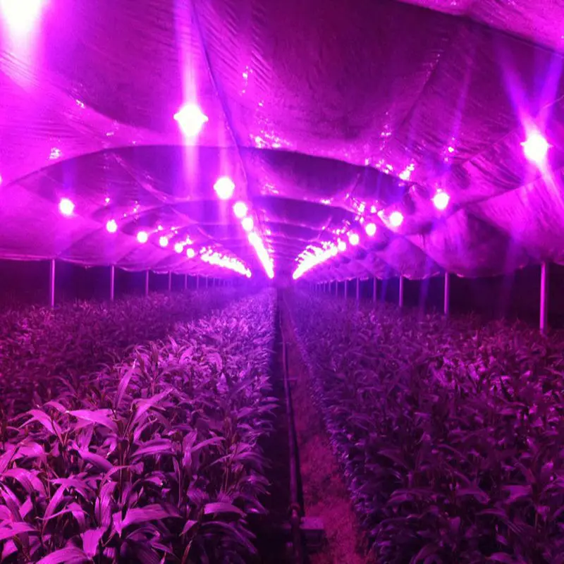 

50W Full Spectrum LED COB chip DC12V 32V, Integrated Smart IC Driver 220V 110V