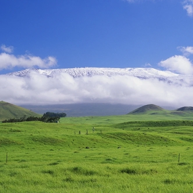 Гавайский Большой остров Waimea вид на заснеженный Mauna Kea от пышных холмов ниже.
