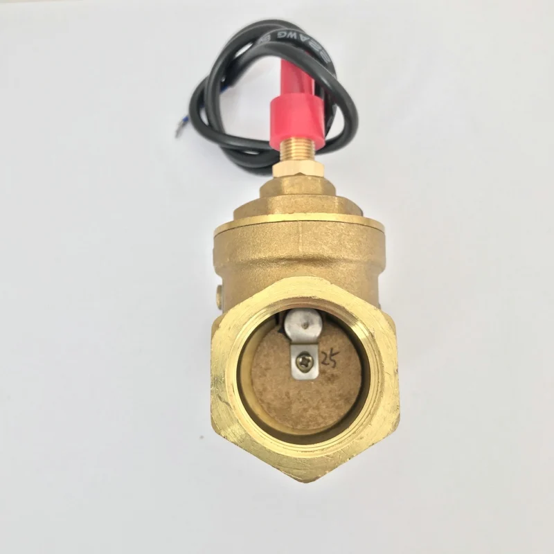USB-FS10TA перегородка Тип потока Сенсор геркон переключатель латунный 8-50L/мин 250V DC 70