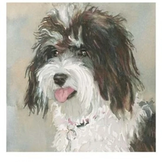 Neely Schnoodle постер печать от Edie Fagan (13x19) | Дом и сад