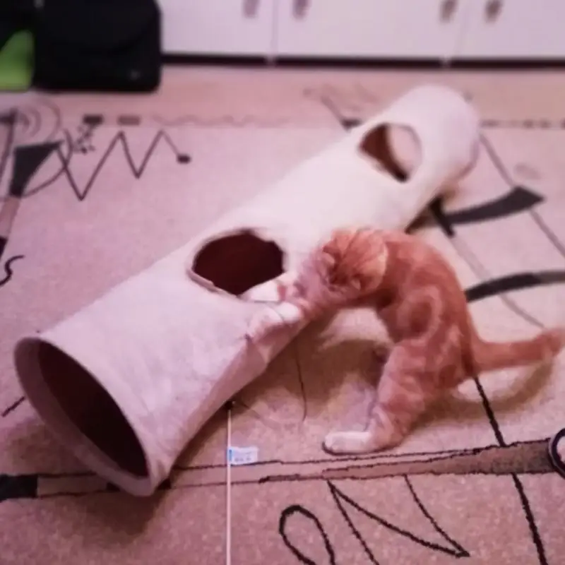 Cat Tunnel играть трубы 2 Отверстия Складная кошка щенок кролик тизер забавные скрыть