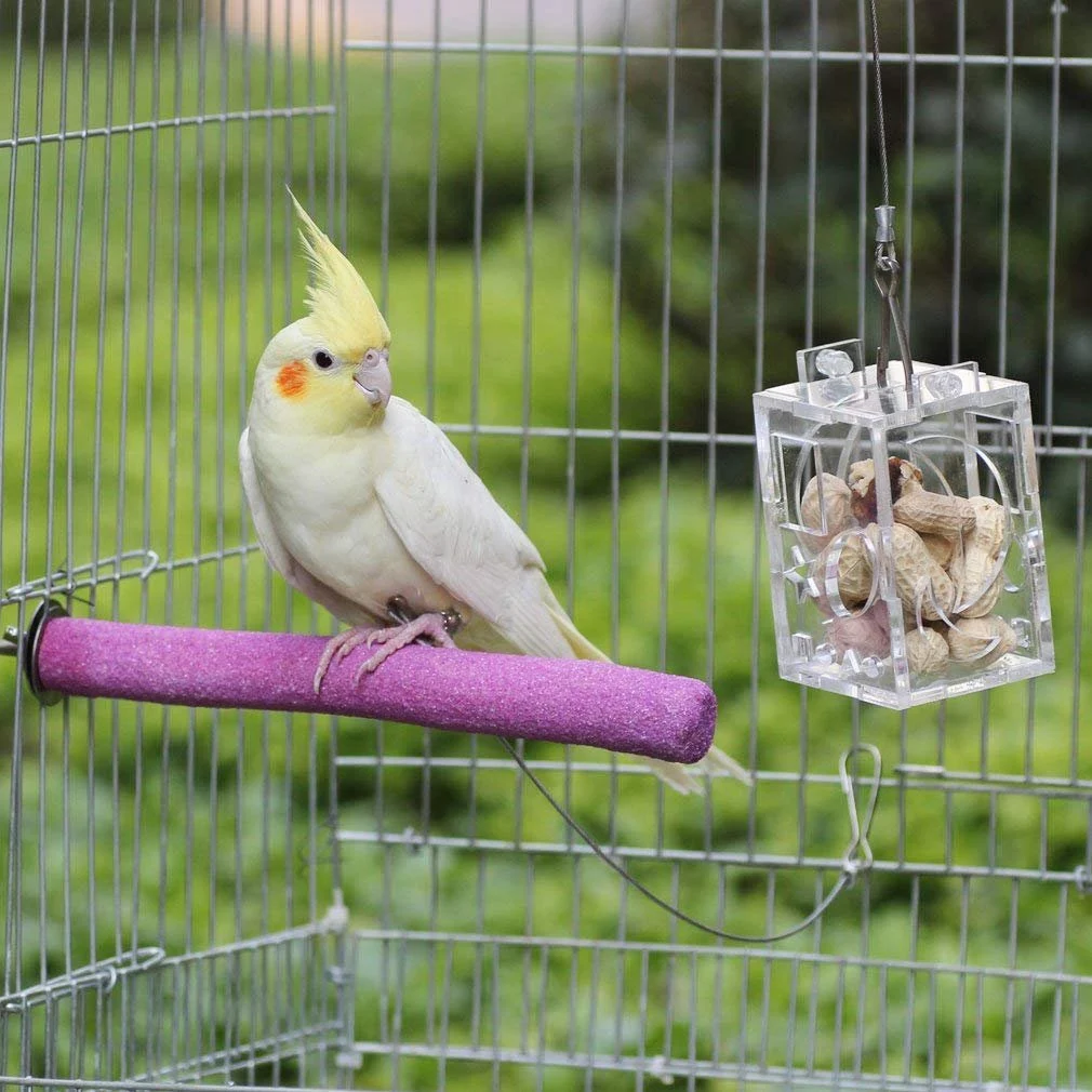 5 шт Попугайчик Игрушка Обучение интерактивные окунь Bird Cage Жердочки|Игрушки для