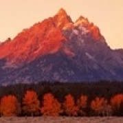 Aspens Teton Range Гранд-Титон национальный парк Вайоминг США плакат печать (18x6) | Дом и