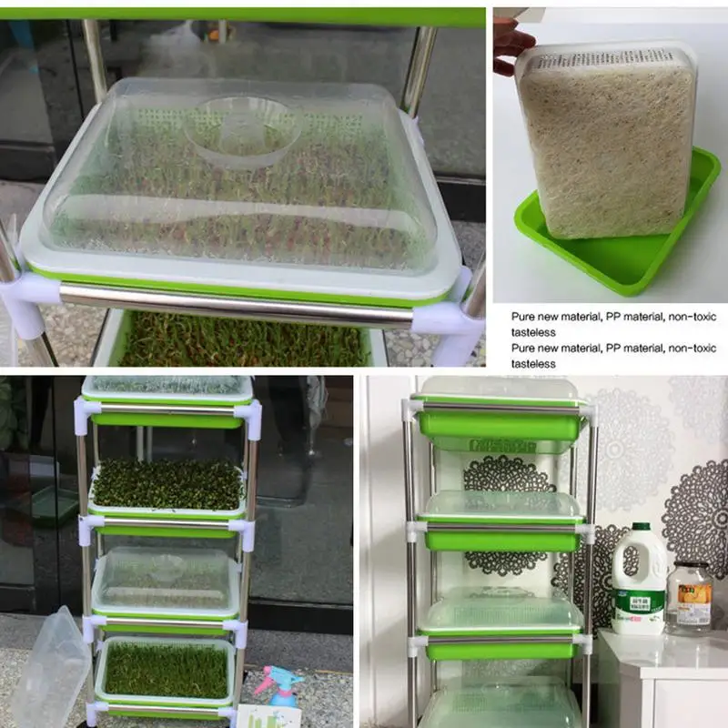 Wheatgrass Grower с крышкой уплотненная коробка для рассады посадки ростки бобов мунг