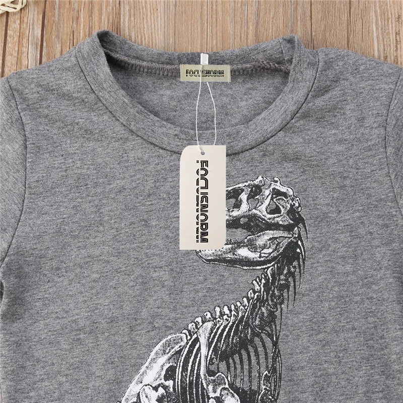 1-6T 2019 New Toddler Infant Kids Baby Boys Clothes Set Gray Dinosaur Printing Tops T-Shirt Short Pants 2pcs Casual Outfit Suits |